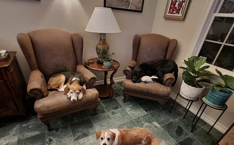 Image: Pepper's Senior Dog Sanctuary: The Last, Best Stop
