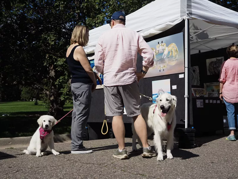 Image: two dogs and their owners