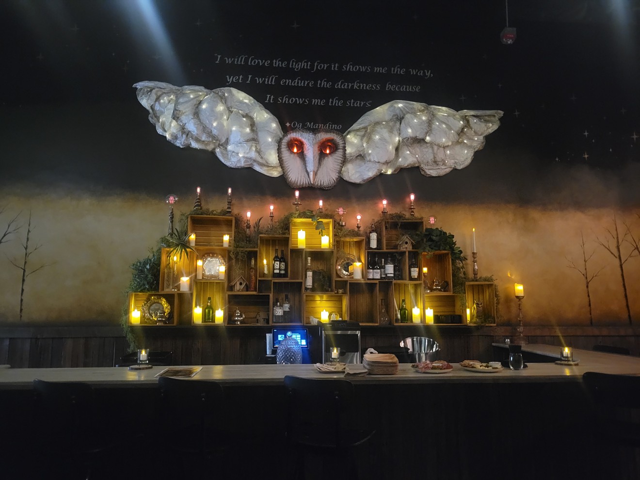 The back bar features a spectacular owl.
