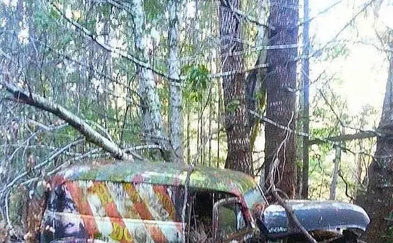Image: Psychedelic History Revs Up in Denver With the Family Dog Van