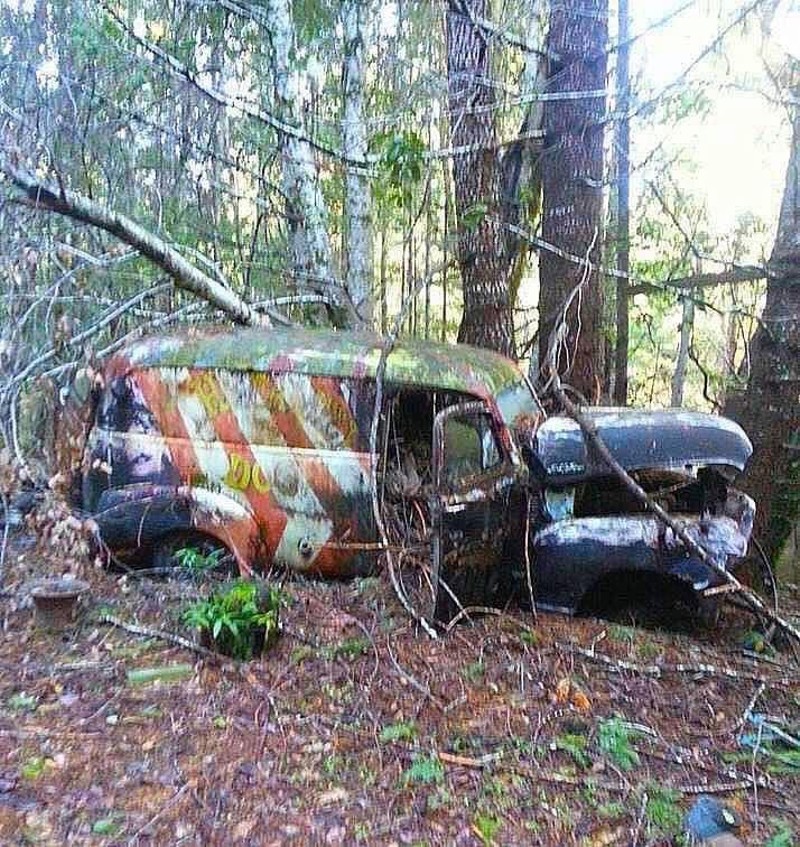 The Family Dog van was left in the woods.