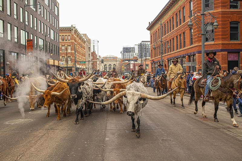 National Western Stock Show parade: What you need to know