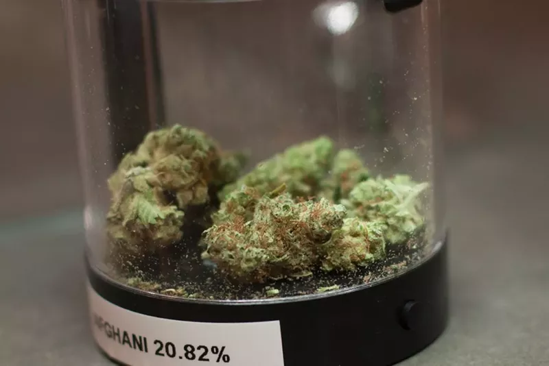 Should Marijuana Have an Expiration Date? Consumers Respond Westword
