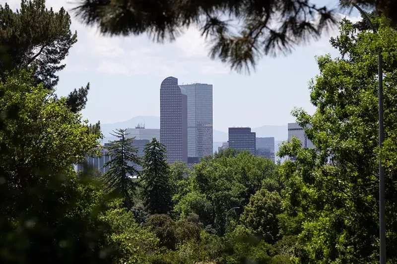 Image: view of building through trees