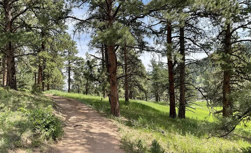 Image: A hiking trail in Flying J Ranch Park in Conifer, where a serial sexual predator is on the loose.