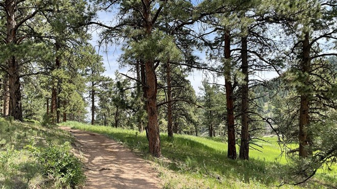 A hiking trail in Flying J Ranch Park in Conifer, where a serial sexual predator is on the loose.