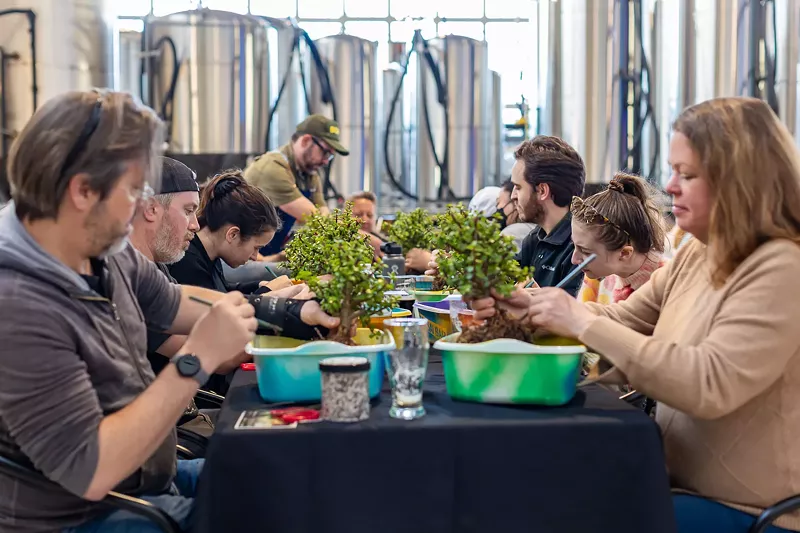 Image: A group crafting tiny trees during a Bonsai Bar event