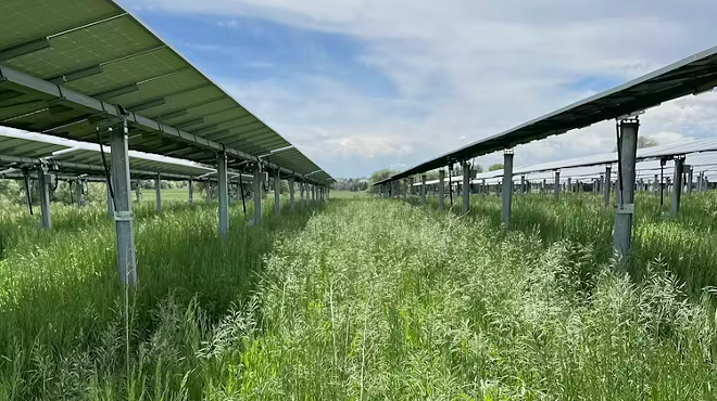Solar panels and grassland at a farm in Colorado