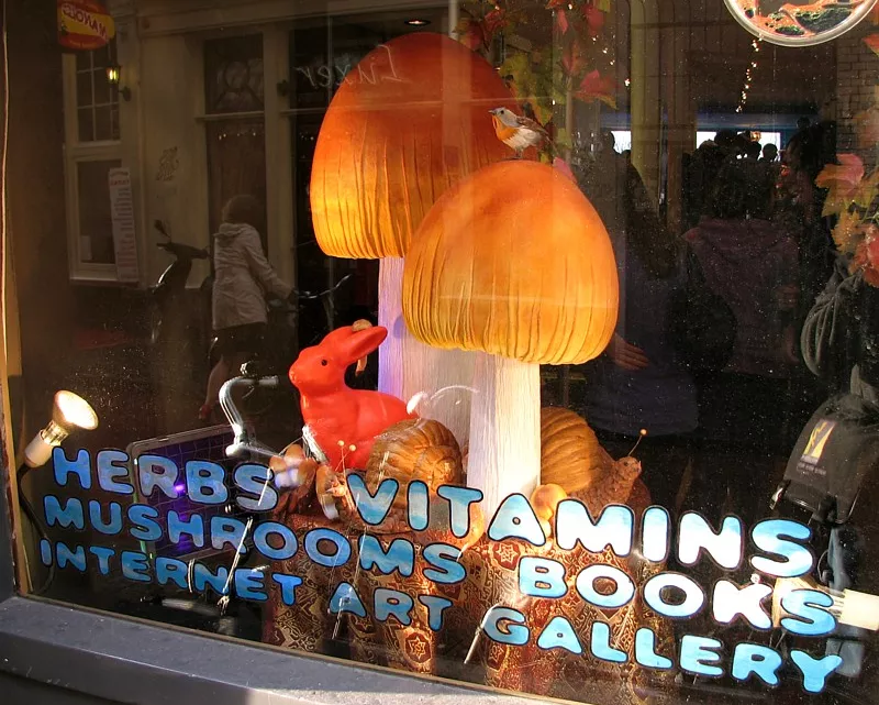 Image: mushroom gift shop