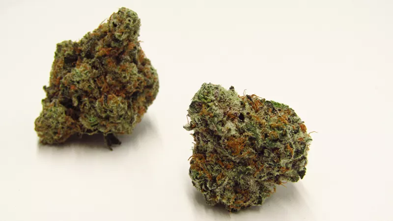 Image: Pink Animal Mints’ high gets a little disorienting, but is nurturing overall.