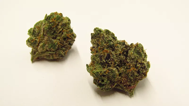 Image: Bubonic Chronic by Snaxland