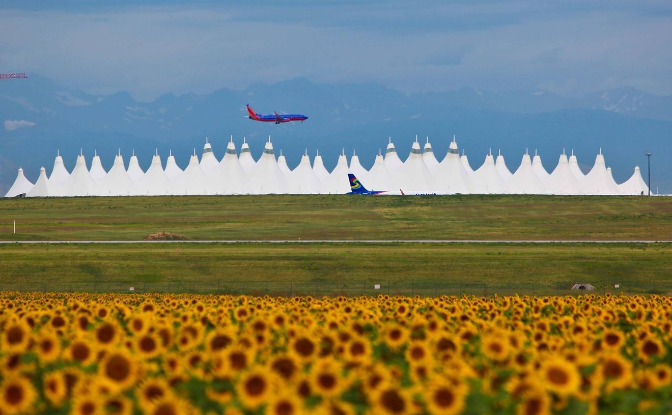 Stuck at Denver International Airport? Where and How to Pass the Time