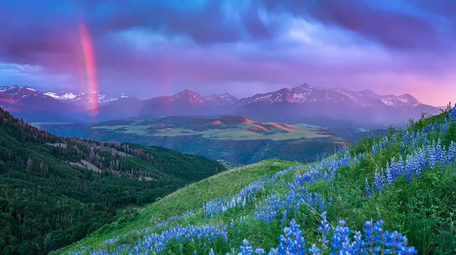 mountain landscape with flowers