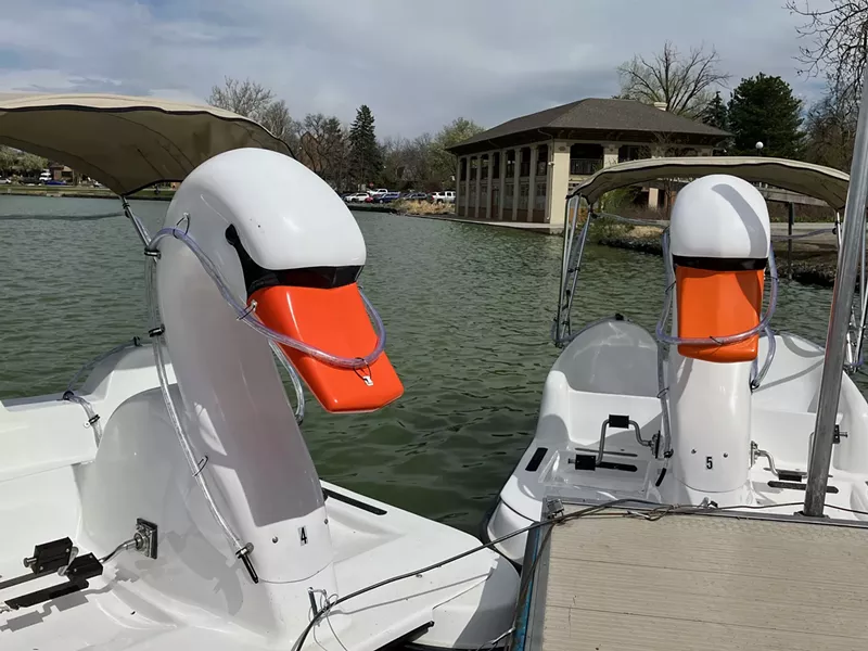 Image: Swan paddle boats in a park lake