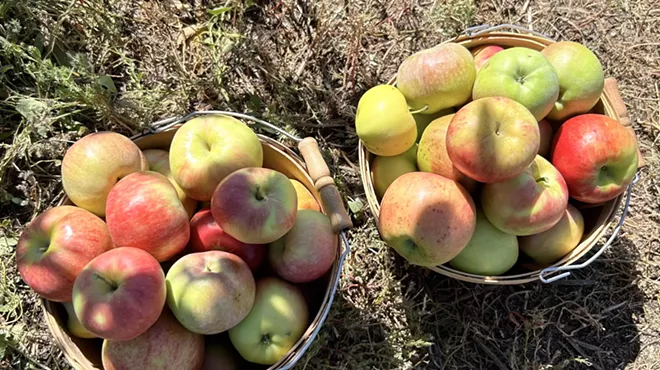 Two baskets of apples resting on the ground at an orchard near Denver