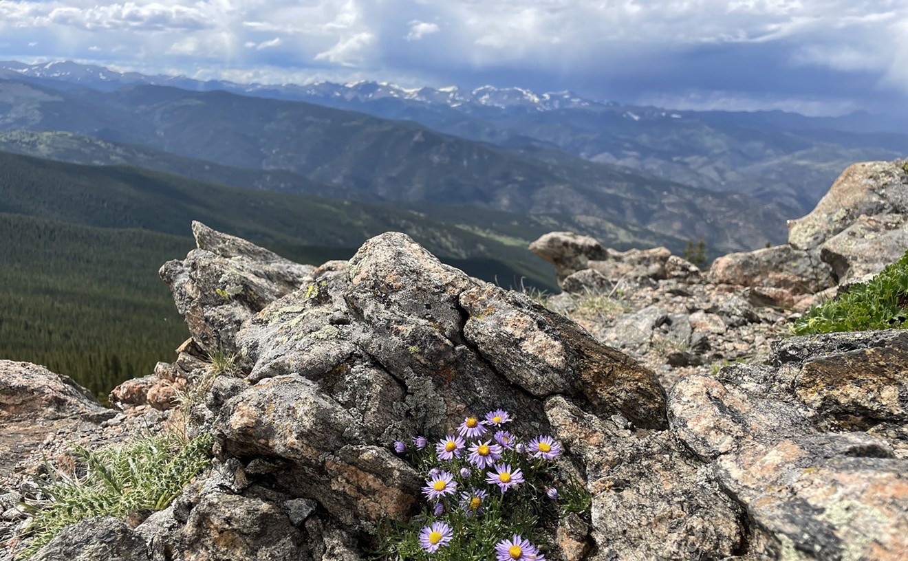 Ten Hikes With Great Views Near Denver