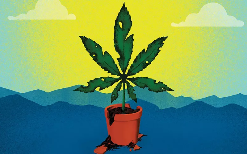 Image: Destroyed cannabis leaf in front of mountains