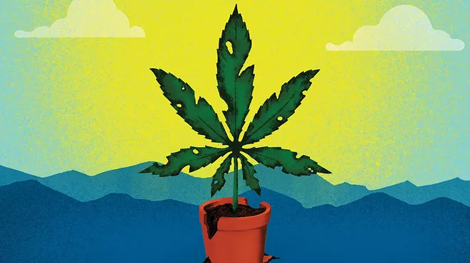 Destroyed cannabis leaf in front of mountains