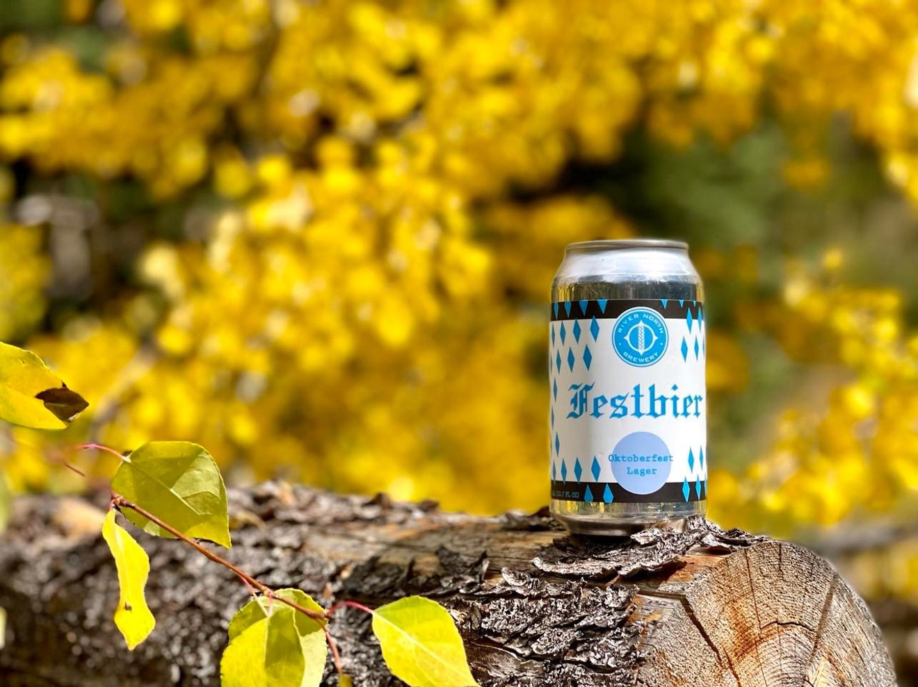 River North's Festbier is out now.