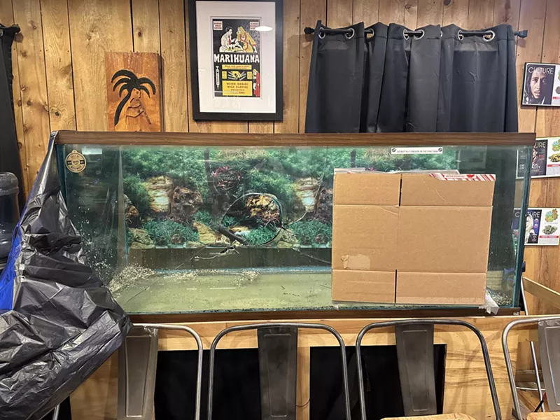Image: Broken glass fish tank with a hole in it.