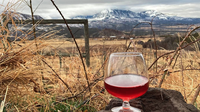 a glass of wine on a rock with a view of mountains in the background