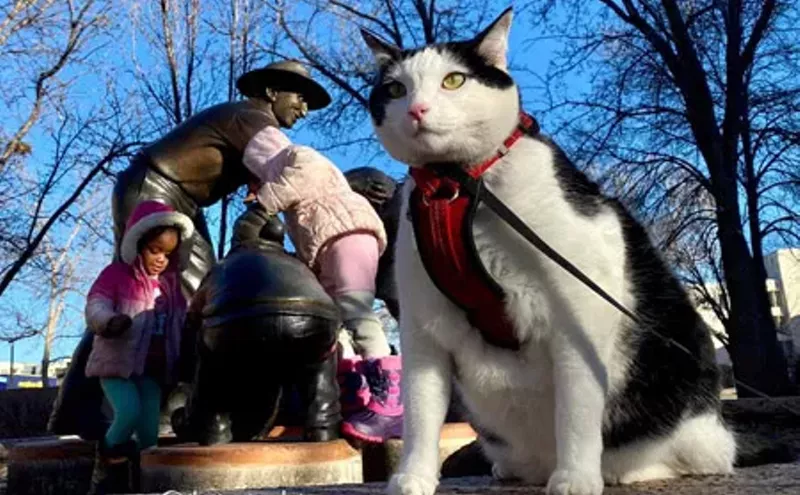 Image: Things to Do in Denver This Weekend
