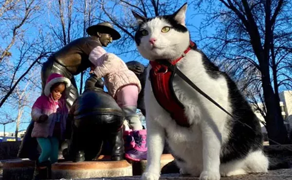 Image: Things to Do in Denver This Weekend