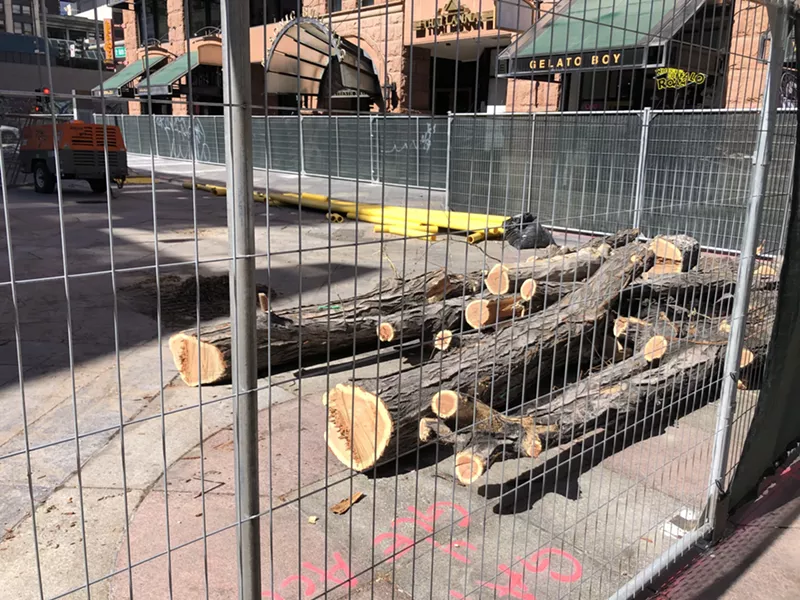 Image: Wood from an old 16th Street locust tree.