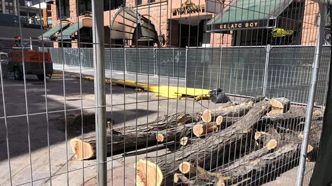 Wood from an old 16th Street locust tree.