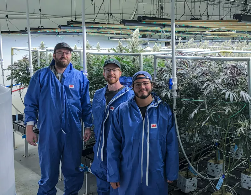 Image: Cannabis growers in front of marijuana plants