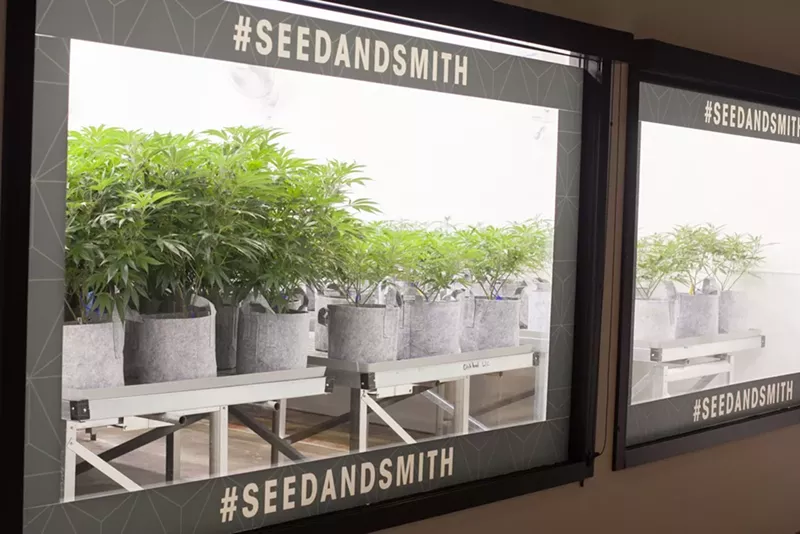 Image: A look inside the nursery at Seed & Smith's Denver location.