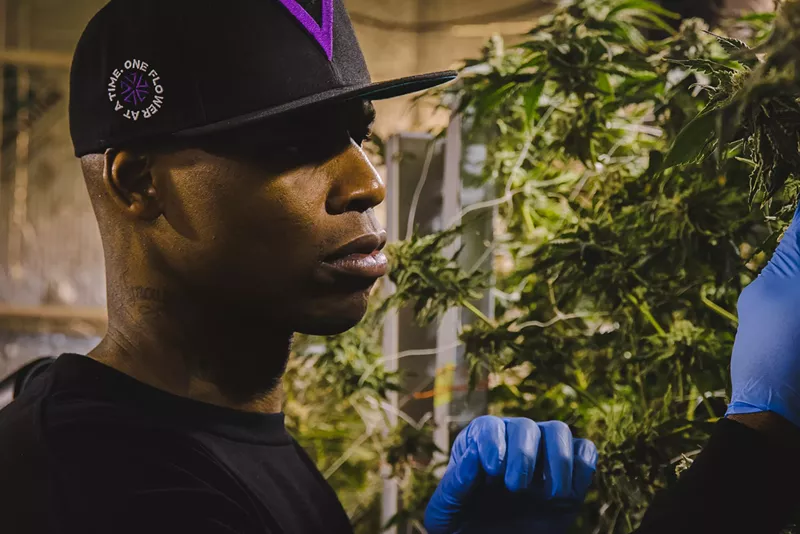 Image: Former Denver Nugget Al Harrington doesn't treat Viola like a celebrity weed brand.