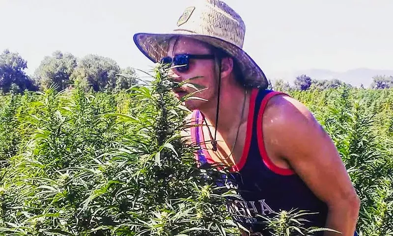 Image: A Colorado farm worker smells hemp plants