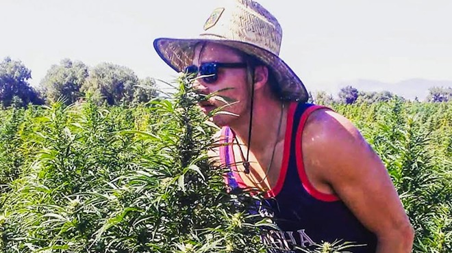 A Colorado farm worker smells hemp plants