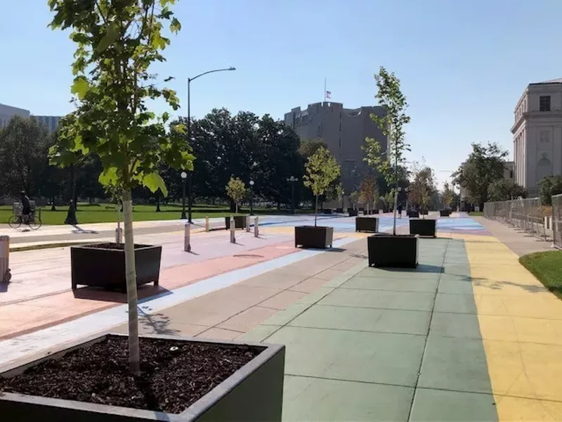 Image: The trees placed on Bannock Street in 2020.