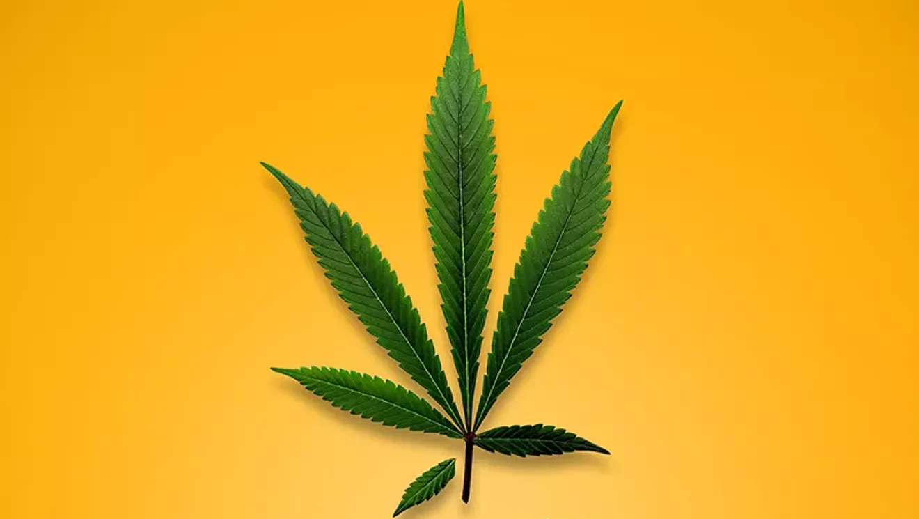 Has a New Law Nipped Colorado's Medical Marijuana Program in the Bud?