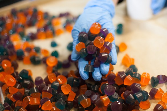 A Westword photographer toured a commercial edibles faciltiy to see how weed gummies are made. - JACQUELINE COLLINS
