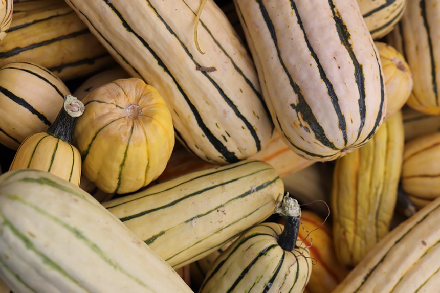 Not sure which squash to pick? Ask the vendors. - MICHAEL KIMBALL