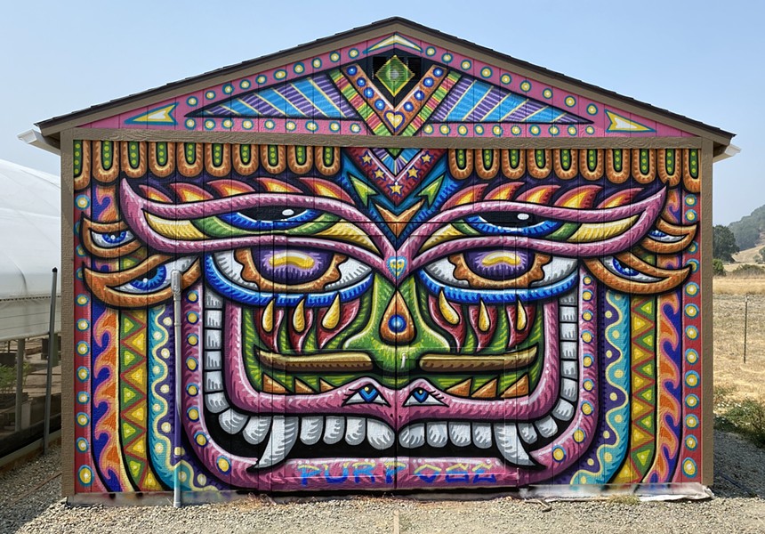 A mural Dyer painted, "Happy House." - COURTESY OF CHRIS DYER