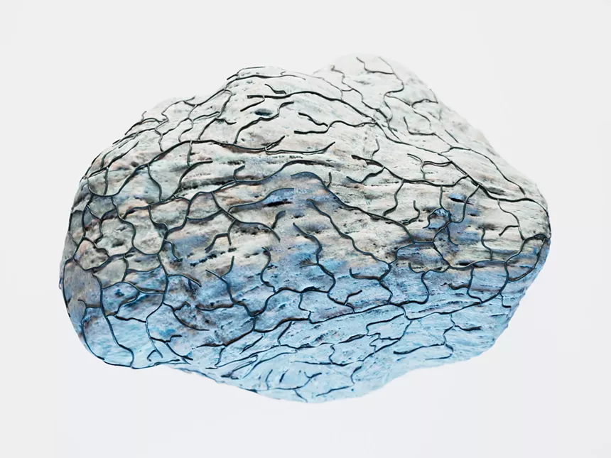 Travis Vermilye,