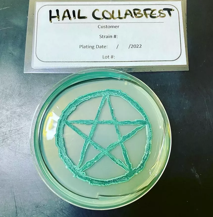 Petri dish art from the Inland Island yeast company, which collabed with TRVE Brewing. - INLAND ISLAND