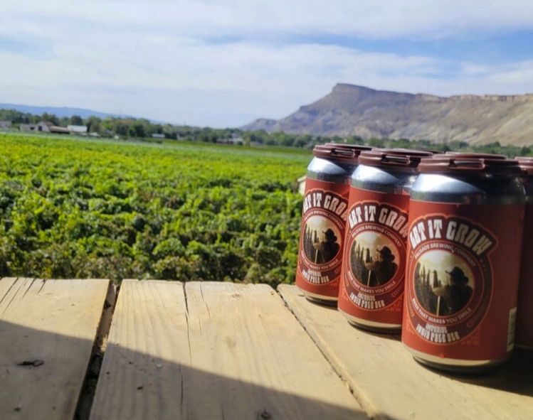 Palisade is also a great place to hit up wineries. - PALISADE BREWING COMPANY/INSTAGRAM