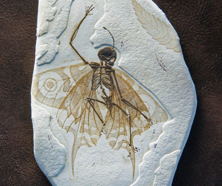 A fanciful fossil by Nicole Grosjean. - NICOLE GROSJEAN