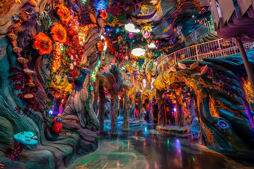 an artful swamp room