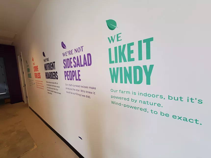 text on a wall in various colors