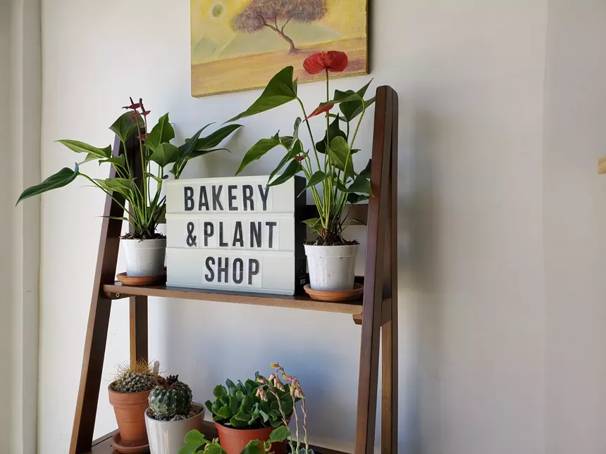 shelf with plants and a sign that says bakery and plant shop