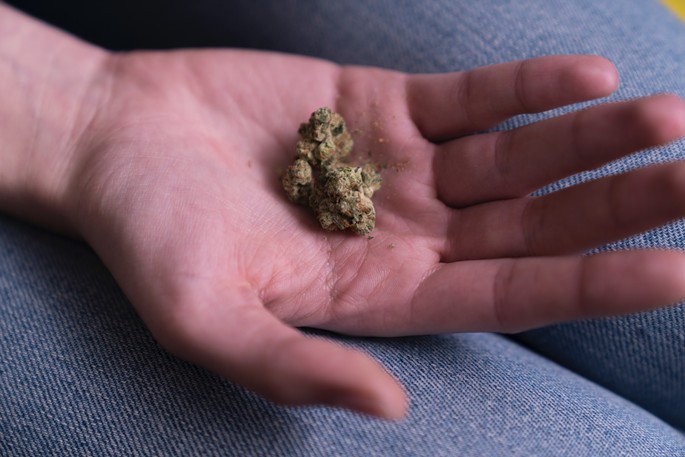 A marijuana bud sits in the palm of a hand