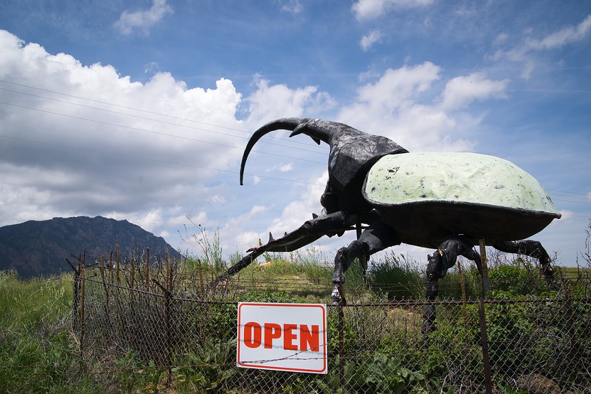 giant bug advertising museum