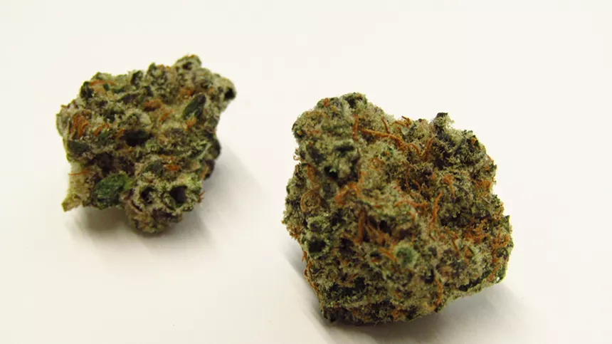 Donny Burger cannabis strain