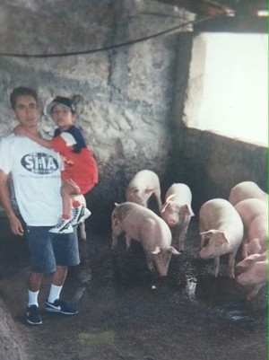 man holding a toddler next to several pigs